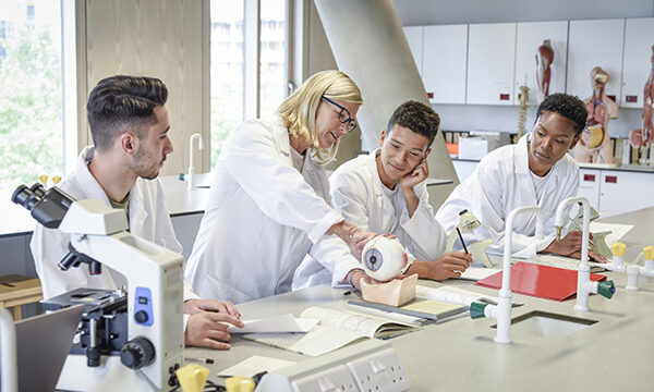 Science students at college in science class, mature woman with anatomical model, optometry students in medical school